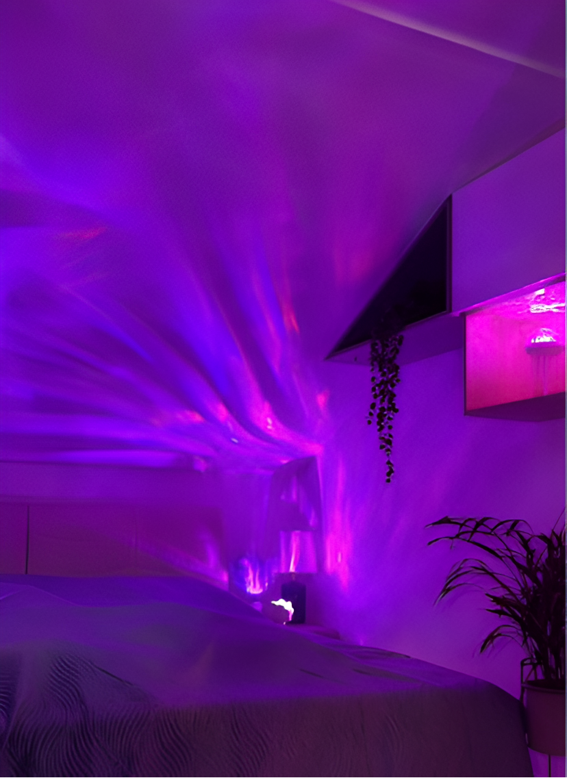 Lumena™ Shell Lamp